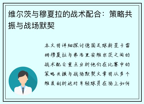 维尔茨与穆夏拉的战术配合:策略共振与战场默契 维尔茨与穆夏拉的战术配合:策略共振与战场默契